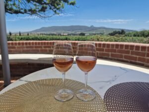 Winelands, Franschhoek, Cape Province, South Africa
